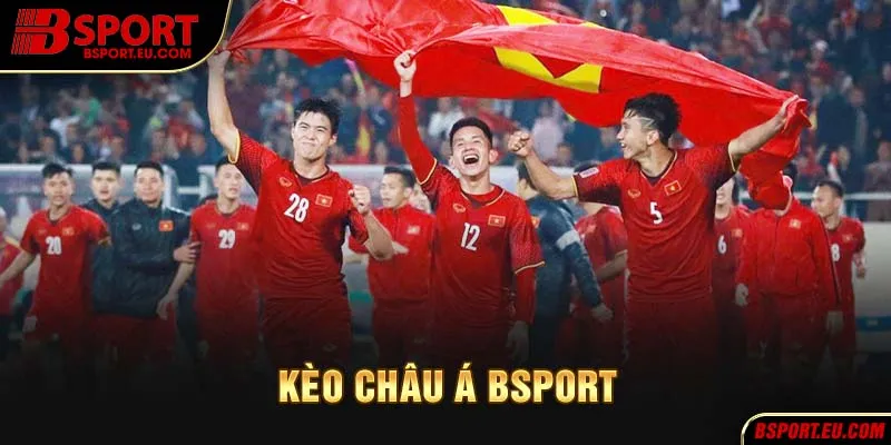 Giới thiệu về hình thức cá cược châu Á tại Bsport