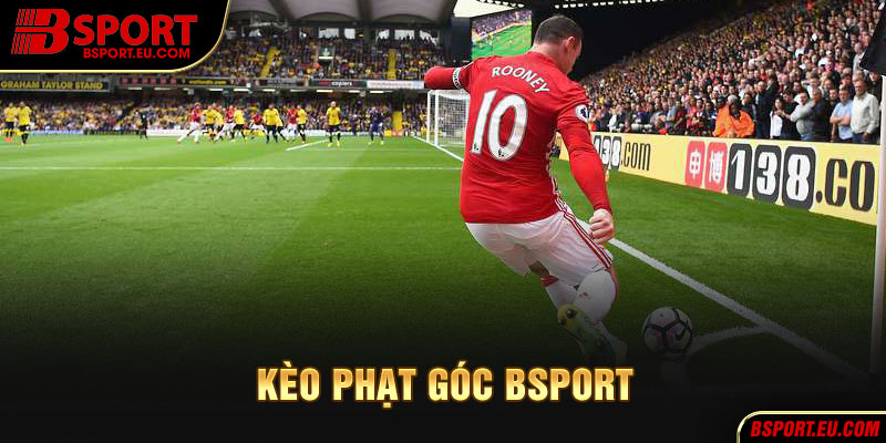 Hội viên nên theo dõi các thống kê